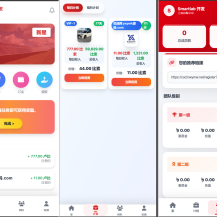 海外汽车电气投资理财源码/三级分销/可自定义产品
