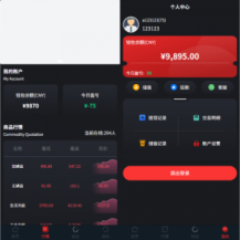 JAVA微盘系统/中盐微盘微交易/期货时间盘/前端uniapp