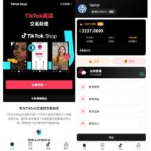 海外tiktok抢单刷单系统/手动派单/爆单卡单