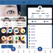 海外刷单抢单系统/韩国刷单/自定义打针/连单卡单